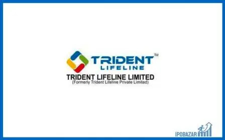 Trident Lifeline IPO allotment Status – Check Online On Linkintime 2022